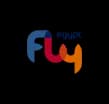 Flyegypt
